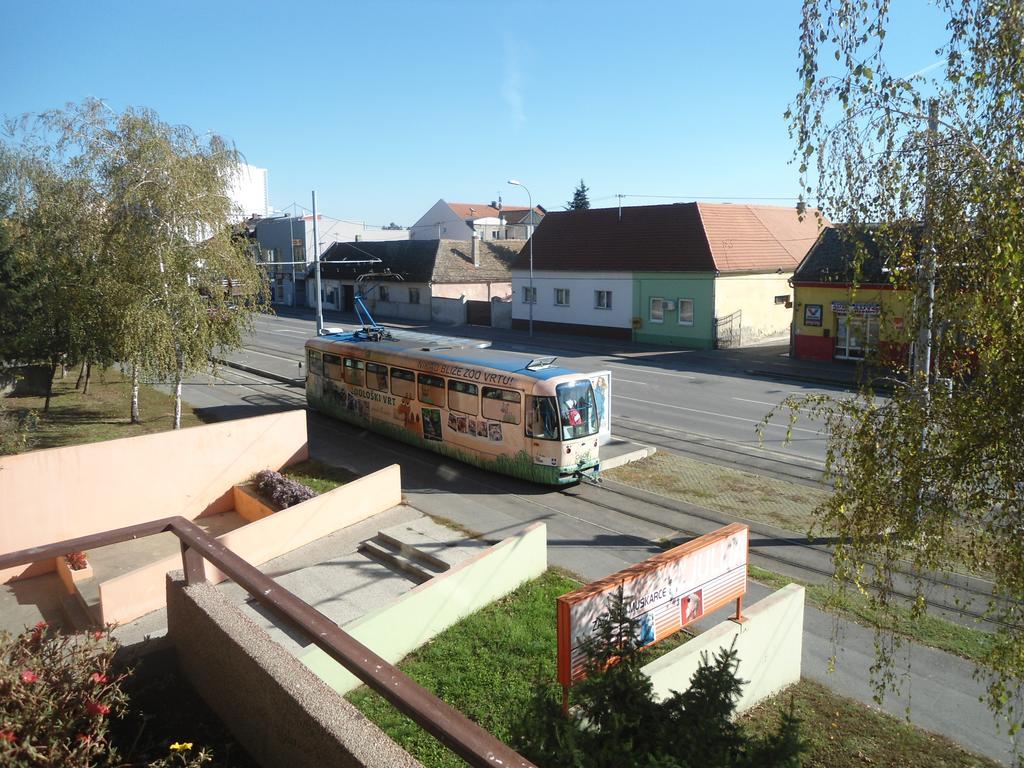 Apartman Ossero Esterno foto